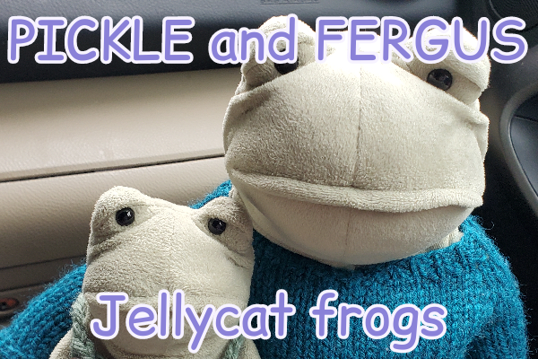 Pickle and Fergus the Jellycat frogs