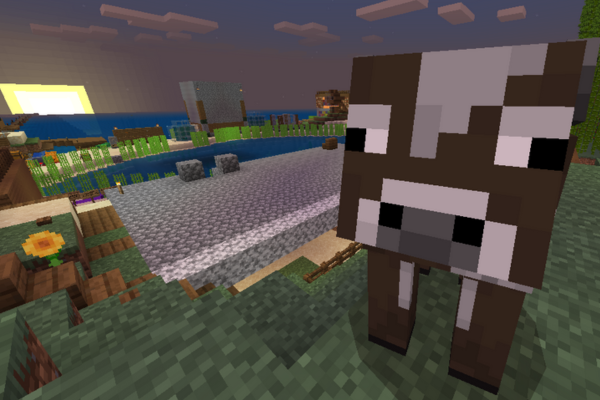 Henry in the Minecraft video game looking at the player during sunset.