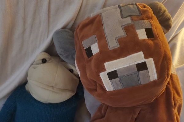 Henry sitting beside a frog plush named Fergus, who has his arm around his back.